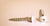 8-8X1-1/4 Combo Drive Round Washer Head Screw